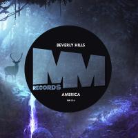 Artwork for America by Beverly Hills