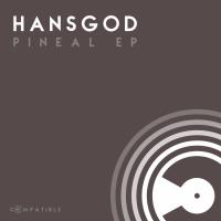 Artwork for Pineal by Hansgod