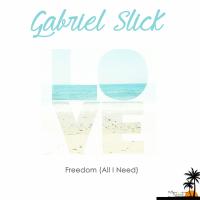 Artwork for Freedom (All I Need) by Gabriel Slick