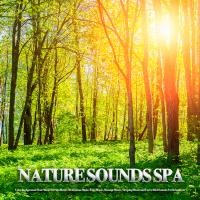 Artwork for Nature Sounds Spa: Calm Background Flute Music For Spa Music, Meditation Music, Yoga Music, Massage Music, Sleeping Music and Forest Bird Sounds For Relaxation by Spa Music Relaxation