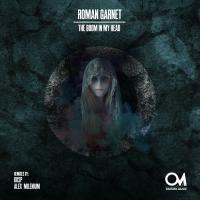 Artwork for The Boom In My Head by Roman Garnet