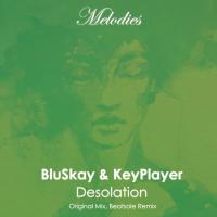 Artwork for Desolation by BluSkay