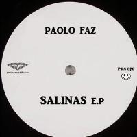 Artwork for Salinas by Paolo Faz