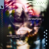 Artwork for Synaesthesia (Fly Away) by The Thrillseekers