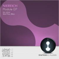 Artwork for Module EP by Niereich