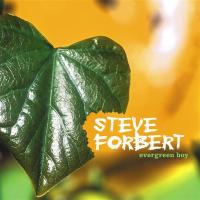 Artwork for Evergreen Boy by Steve Forbert