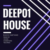 Artwork for Deep House 01 by David Caetano