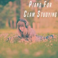 Artwork for Piano For Clam Studying by Various Artists