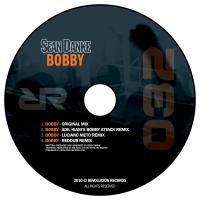 Artwork for Bobby by Sean Danke