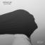 Artwork for Oscillations (Original Mix)