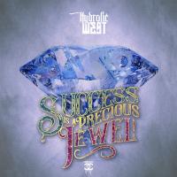 Artwork for Success Is a Precious Jewel by Hydrolic West