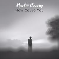 Artwork for How Could You by Martin Czerny