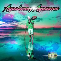 Artwork for Aquaberry Aquarius by Riff Raff