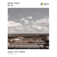 Artwork for Soul Fly Free by 4Mal