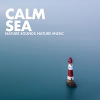 Artwork for Calm Sea by Nature Sounds Nature Music