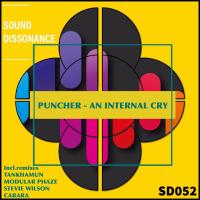 Artwork for An Internal Cry by Puncher