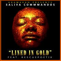 Artwork for Lined in Gold by Saliva Commandos