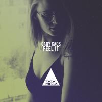 Artwork for Feel It by Gary Caos