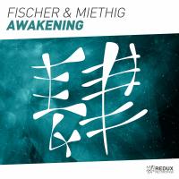 Artwork for Awakening by Fischer