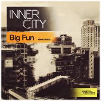 Artwork for Big Fun (Remastered) by Inner City