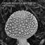 Artwork for Psychotropic (Original Mix)