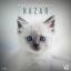 Artwork for Nazar (Extended Mix)