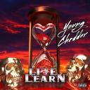 Artwork for Live and Learn