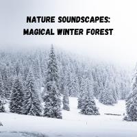 Artwork for Nature Soundscapes: Magical Winter Forest by Nature Recordings