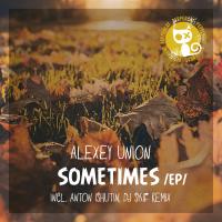 Artwork for Sometimes by Alexey Union