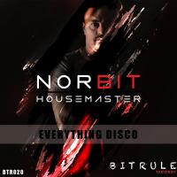 Artwork for Everything Disco by Norbit Housemaster