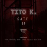 Artwork for Gate 23 by Tito K.