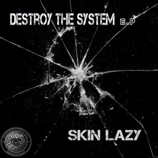Artwork for Destroy The System (Original Mix)