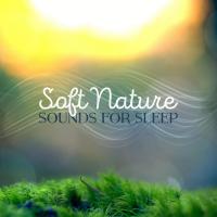 Artwork for Soft Nature Sounds for Sleep by Nature Sounds For Sleep and Relaxation