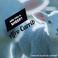 Artwork for Are You A Sheep ? by Afro Carrib