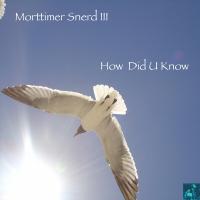 Artwork for How Did U Know by Morttimer Snerd III