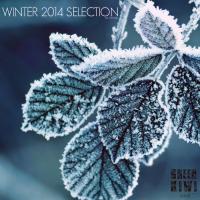 Artwork for Winter 2014 Selection by Various Artists