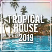 Artwork for Tropical House 2019 by Tropical House