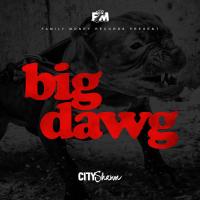 Artwork for Big Dawg by City Shawn