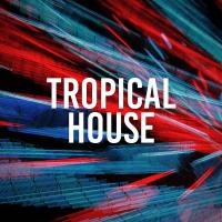 Artwork for Tropical House by Ibiza Lounge