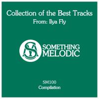 Artwork for Collection of the Best Tracks From: Ilya Fly by Ilya Fly