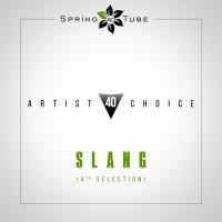 Artwork for Artist Choice 040. Slang (4th Selection) by SLANG