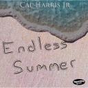 Artwork for Endless Summer