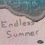 Artwork for Endless Summer