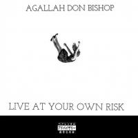 Artwork for Live At Your Own Risk by Agallah Don Bishop