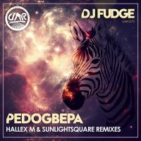 Artwork for Pedogbepa (Hallex M & Sunlightsquare Remixes) by DJ Fudge