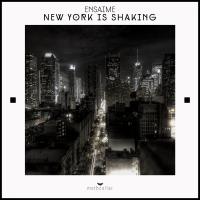 Artwork for New York Is Shaking by Ensaime