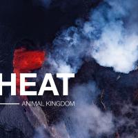 Artwork for Heat EP by Animal Kingdom