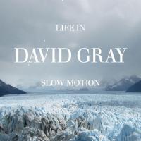 Artwork for Life in Slow Motion by David Gray