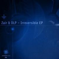 Artwork for Irreversible by Zair