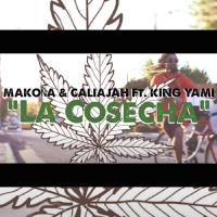 Artwork for La Cosecha (feat. King Yami) by CALIAJAH